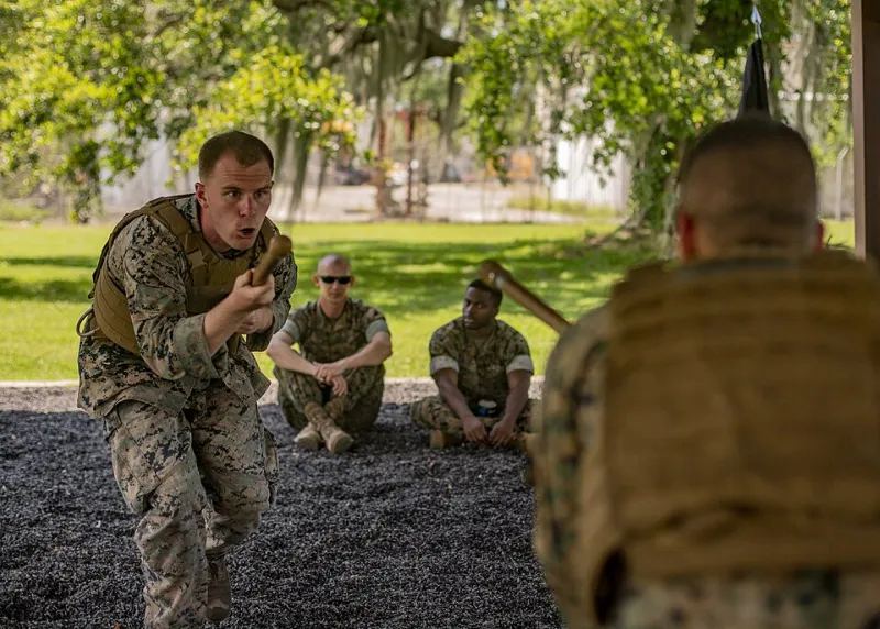 Wired to Freeze: Understanding Your Brain's Crisis Response and Training to Override It